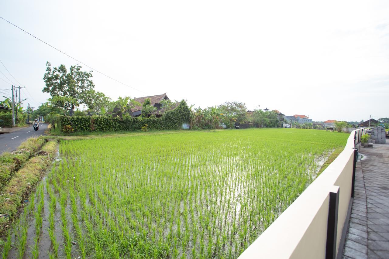 V Canggu Dormitory المظهر الخارجي الصورة